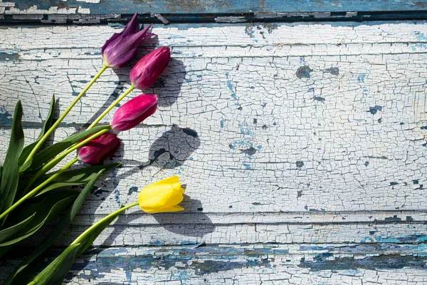 Mavi ahşap zemin üzerinde kırmızı laleler yakın plan, arka plan ve dokular.