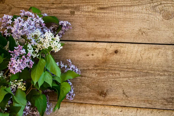 Ahşap arka planda bir buket leylak, tahtada leylak çiçekleri..