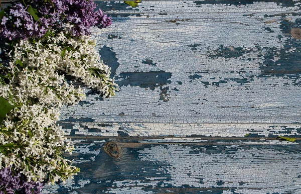 Fliederblumen Auf Blauem Holzhintergrund Nahaufnahme Textur Und Hintergrund Aus Altem — Stockfoto