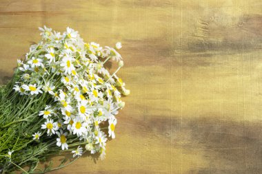 Kahverengi ve sarı yakın plan ahşap bir arka planda papatya çayı..