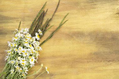 Kahverengi ve sarı yakın planda ahşap bir arka planda papatya ve çimen..