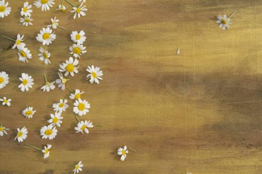 Kahverengi ve rengin ahşap arka planında papatya çayı..