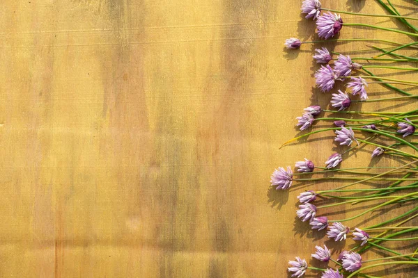 Lilás Flores Delicadas Fundo Madeira Marrom Flores Delicadas Fundo Madeira — Fotografia de Stock