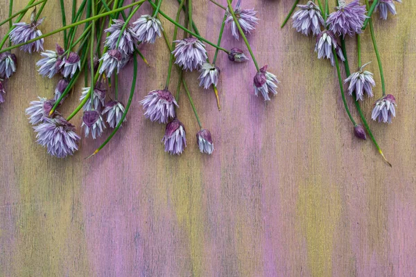 Pembe arka planda leylak çiçekleri, ahşap arka planda narin leylak çiçekleri, masada çiçekler, çiçekli kart..