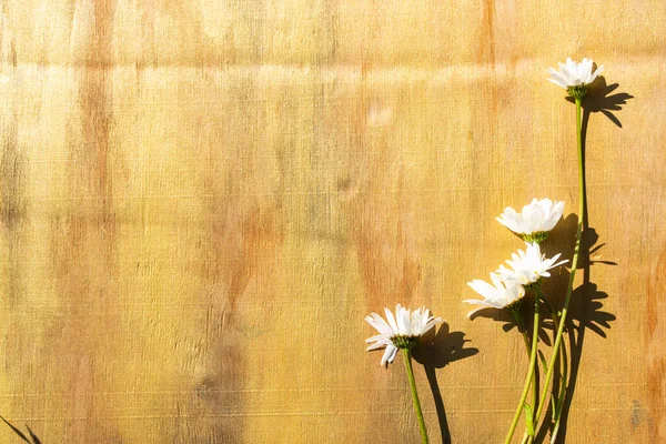 Schöne Blumen Auf Holzgrund — Stockfoto