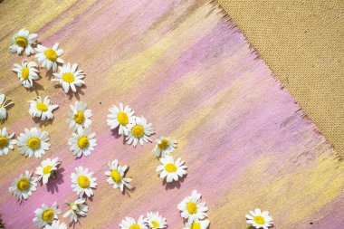 Masadaki güzel çiçekler.