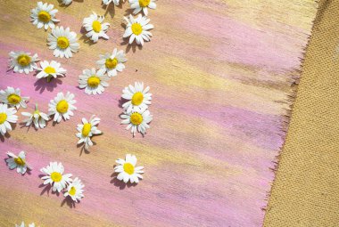 Masadaki güzel çiçekler.