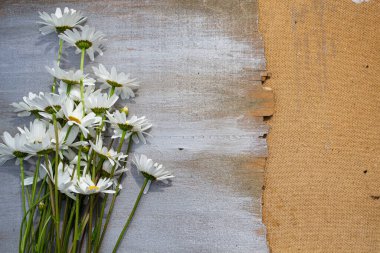 Ahşap bir arka planda papatyalar.