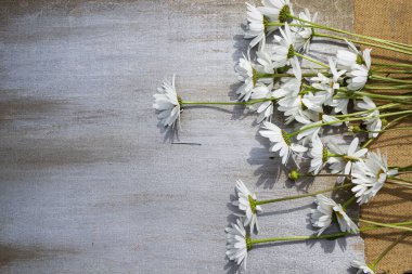 Ahşap bir arka planda papatyalar.