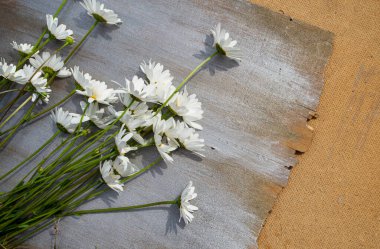 Ahşap bir arka planda papatyalar.