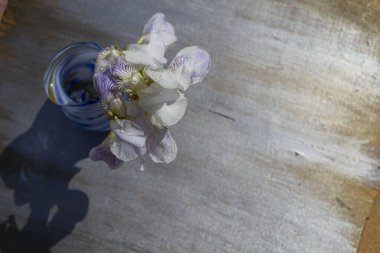 Tahta bir arka planda bahar çiçekleri ve beyaz orkide tomurcukları