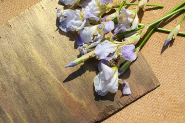 Kırsal bir arka planda süsen çiçekli eski ahşap harfler..