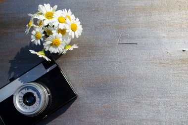 Ahşap bir arka planda çiçekli Retro kamera