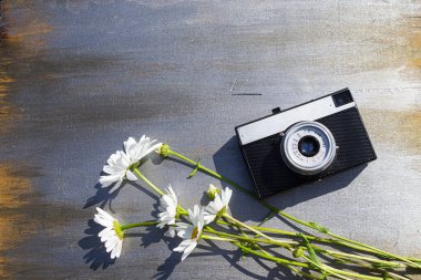 Ahşap bir arka planda çiçekli Retro kamera