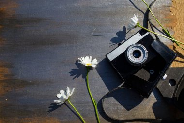 Ahşap bir arka planda çiçekli Retro kamera