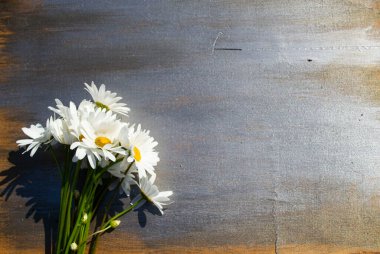 Ahşap bir arka planda papatyalar.