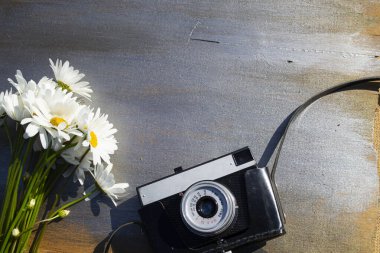 Ahşap bir arka planda çiçekli Retro kamera