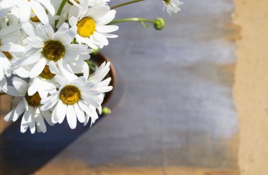 ahşap bir arka plan üzerinde papatya buketi