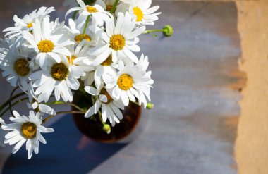 ahşap bir arka plan üzerinde papatya buketi