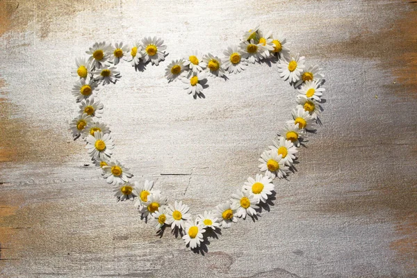 kalp şeklinde beyaz ve sarı çiçekler ahşap bir arka planda