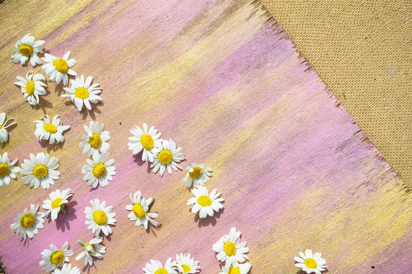 Masadaki güzel çiçekler.