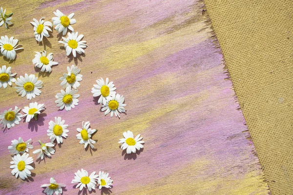 Beautiful Flowers Canvas Background — Stock Photo, Image