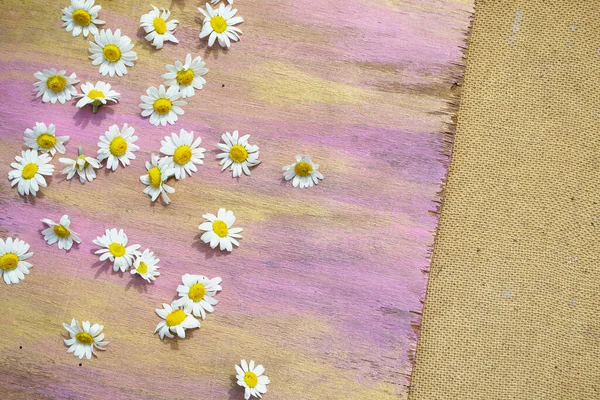 Tuvalin arka planında güzel çiçekler