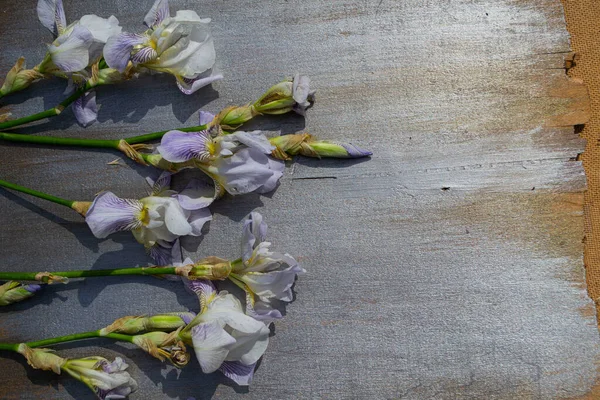 Gri arka planda güzel bir buket çiçek.