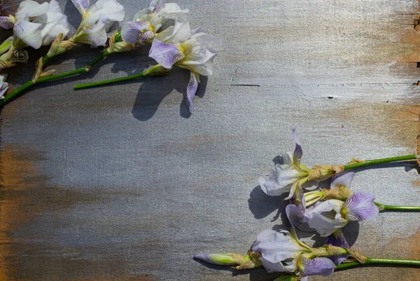 Tahta arka planda güzel bahar çiçekleri