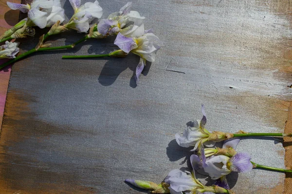 Tahta arka planda bahar çiçekleri