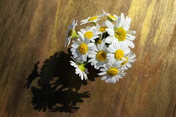 Bouquet Daisies Vase Wooden Background — Stock Photo, Image