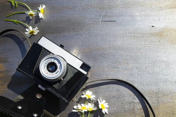 Ahşap bir arka planda çiçekli Retro kamera