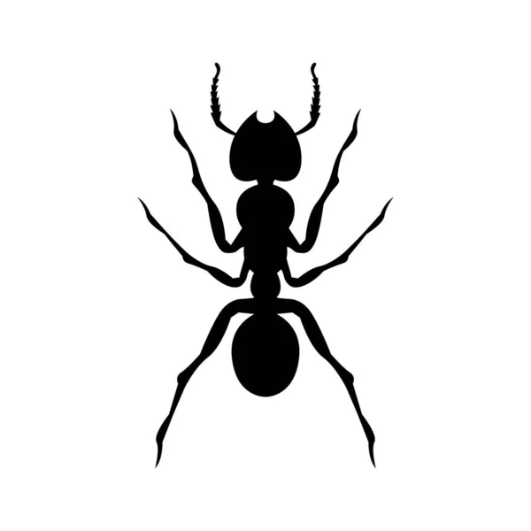 Černá Silueta Mravenců Vektorový Prvek Pro Návrh — Stockový vektor