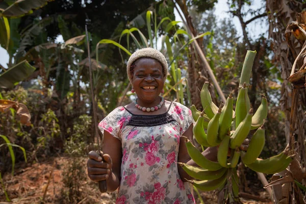 Smiling African farmer with a bunch of bananas from her plantation. Working woman