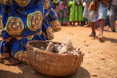 Kamerun, Afrika 'daki bir kutlamada içinde Yam, bir yumru bulunan sepete yakın çekim