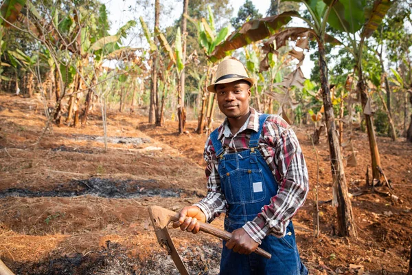 African farmer works the field with the hoe, cultivator at work on his plantation