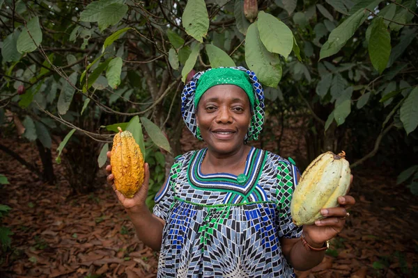 Egy Afrikai Női Farmer Kezében Tartja Kakaóbabot Ültetvényéről — Stock Fotó