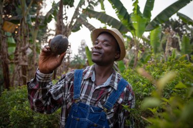 Avokado çiftçisi elinde avokadoyla tarlalarının ürünleriyle başarılı bir Afrikalı işadamı.