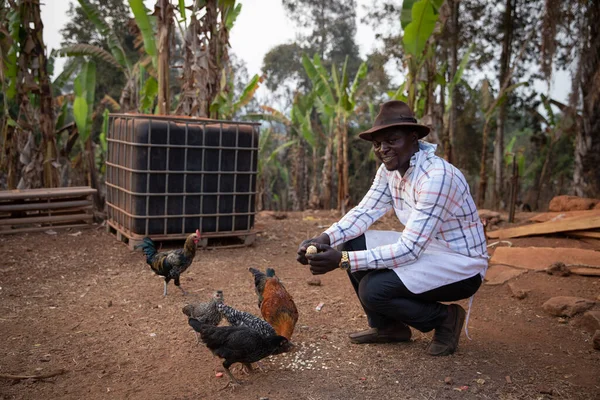 Farmer Feeds His Chickens Corn His Farm Young African Farmer — Stock Photo, Image