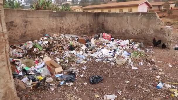 食料を探している鶏と一緒に埋め立て地に残された廃棄物であるアフリカのオープン埋立地 — ストック動画