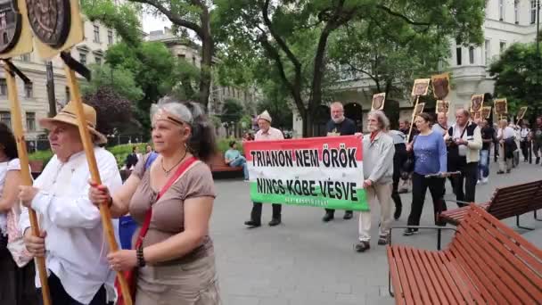 Une Célébration Faite Par Des Irrédentistes Hongrois Budapest — Video