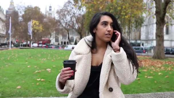 Belle Fille Indienne Passe Appel Téléphonique Pendant Elle Est Dans — Video