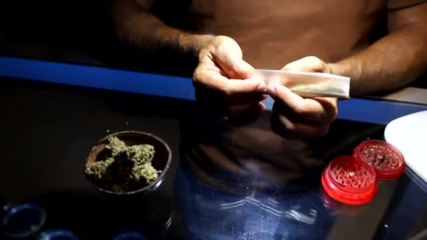 Człowiek Toczy Jointa Marihuaną Rozdrabnia Surowe Zioło Łączy Tytoniem Wspólnym — Wideo stockowe