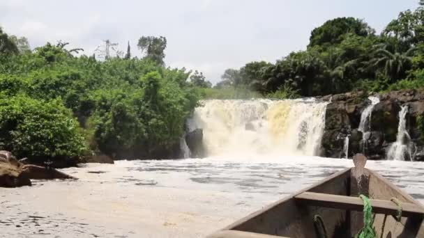 Kribi Waterfalls Cameroon Wild Animals Coast African Nature — Stock Video