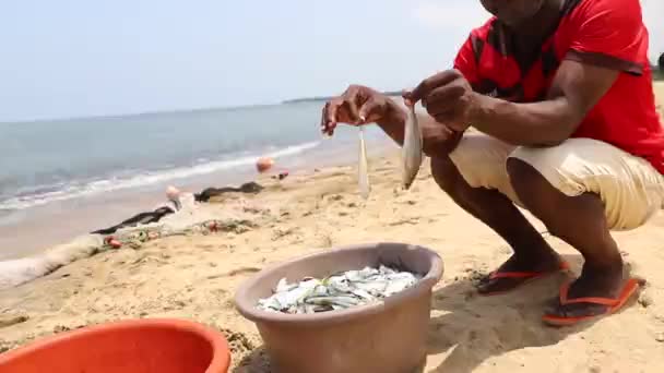 Seorang Nelayan Afrika Memegang Ikan Yang Baru Ditangkap Dari Ember — Stok Video