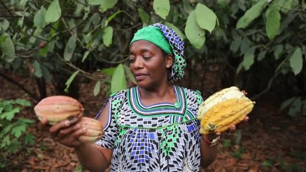 Африканський Фермер Щойно Зібрав Какао Бочки Плантації Задоволений — стокове відео