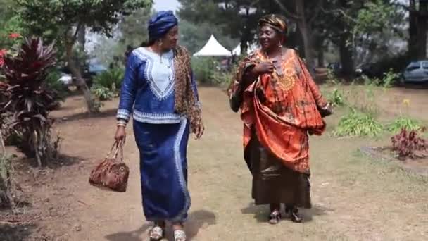 两个非洲女人一边走路一边聊天 她们传统上都穿着衣服 — 图库视频影像
