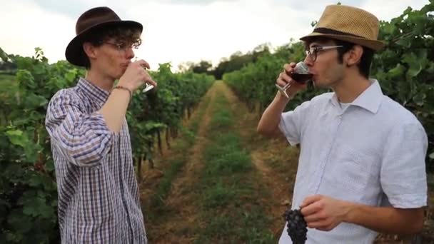 Dois Fazendeiros Torcem Com Vinho Sua Vinha Falam Sobre Trabalho — Vídeo de Stock