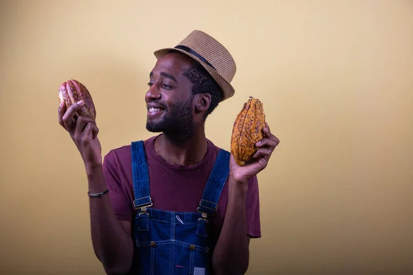 Африканский Фермер Удовлетворением Смотрит Свои Свежесобранные Какао Стручки Фото Студии — стоковое фото