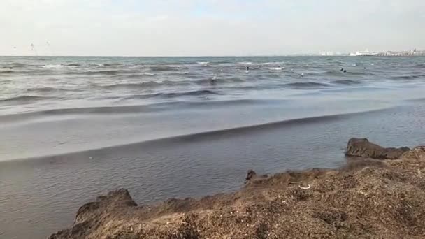 Грязное побережье Черного моря. Экология. Загрязнение окружающей среды. — стоковое видео
